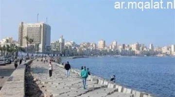 تحذير للأرصاد.. رياح قوية وغبار عالق يغطي سماء عدة مناطق خلال ساعات